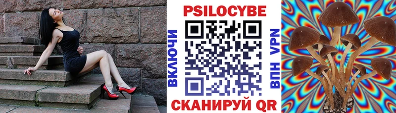 Галлюциногенные грибы прущие грибы купить сайты Свирск
